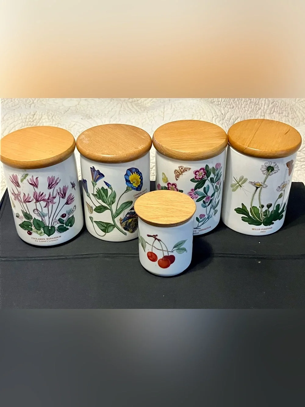5 Portmeirion Botanic Garden Kitchen Storage Jars Canisters Lids Old Mark